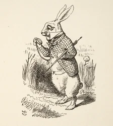 Das Weiße Kaninchen, aus Alice im Wunderland von Lewis Carroll, veröffentlicht 1891